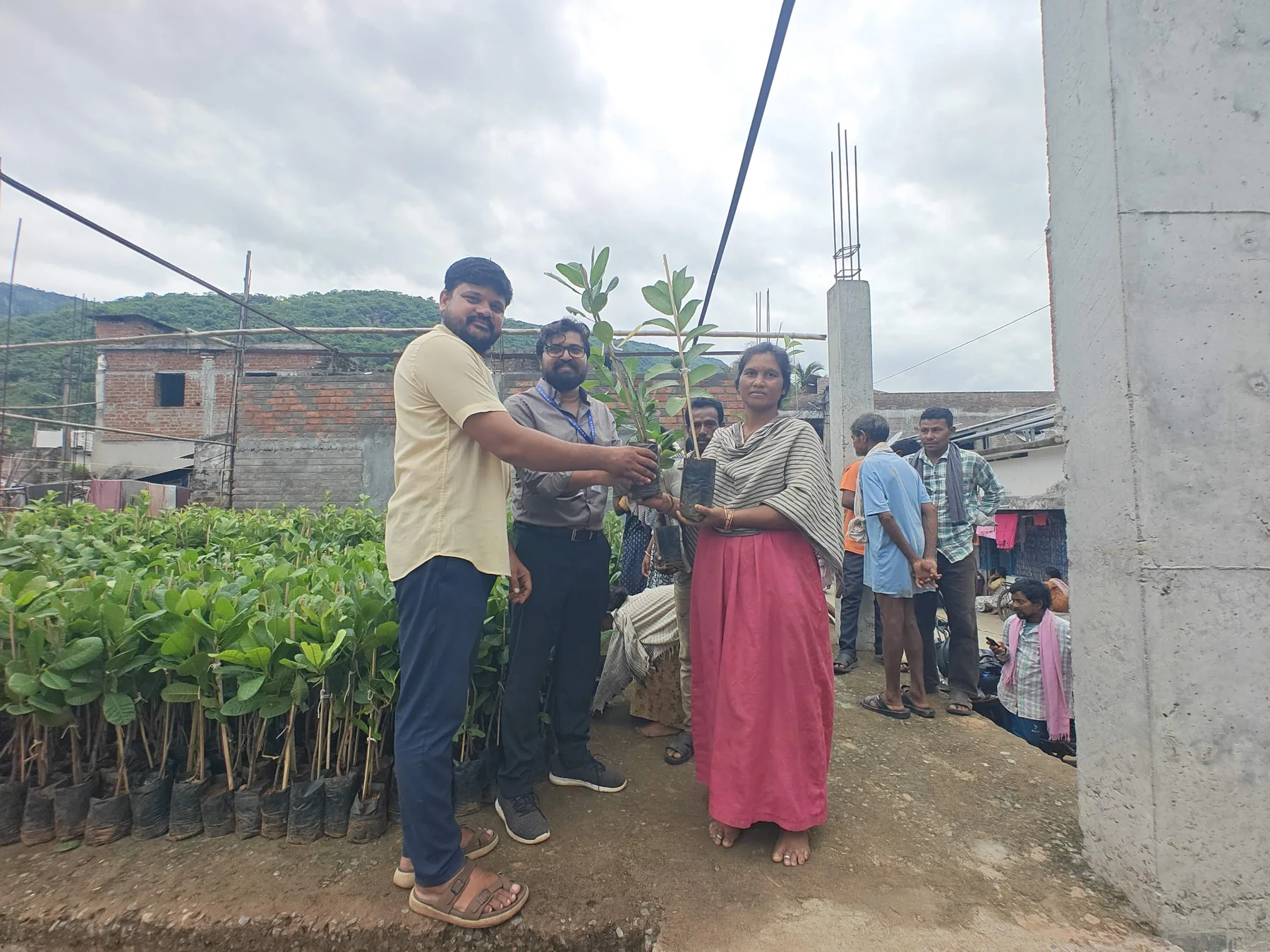 Community field activity